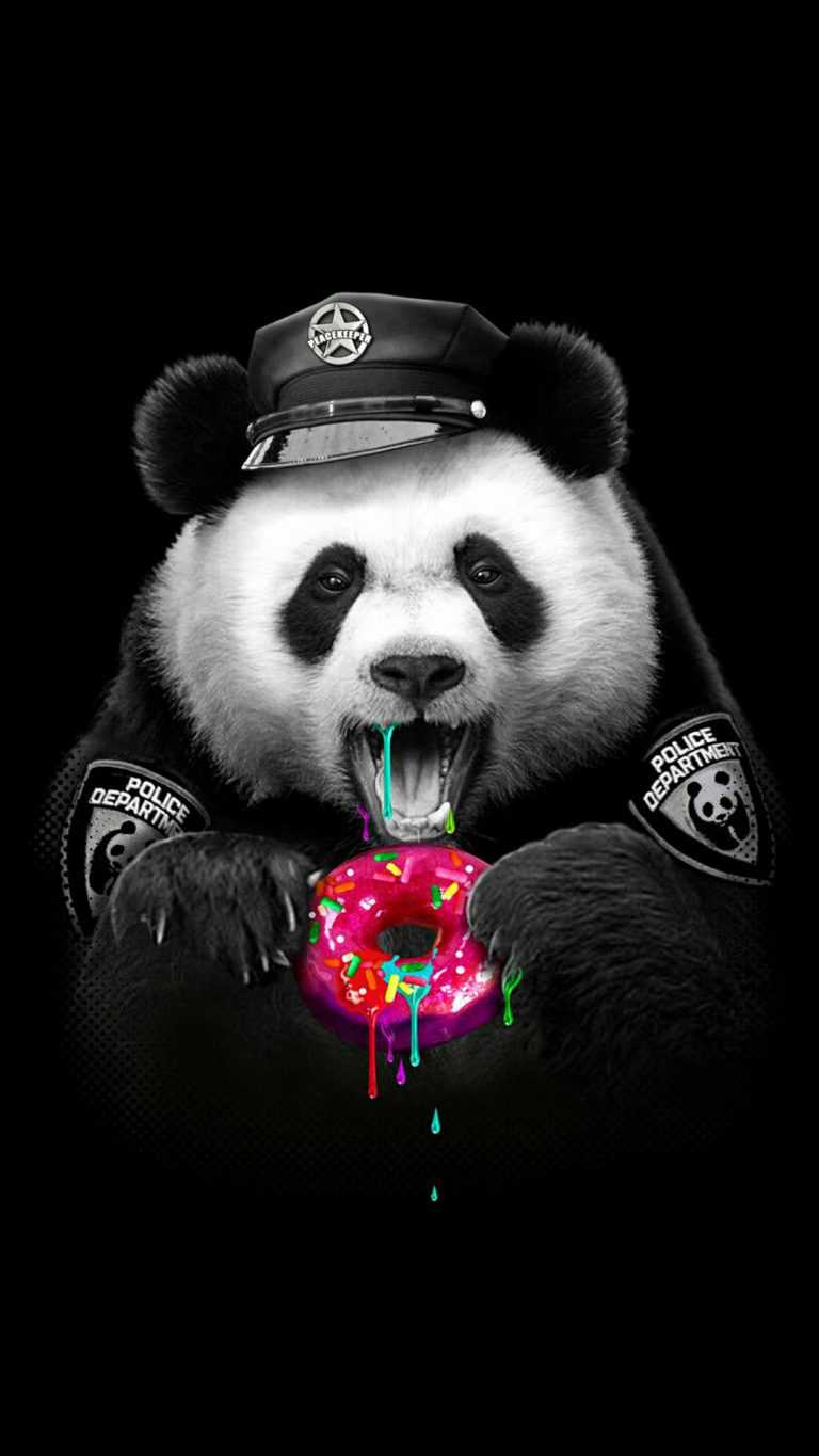Cool Panda Wallpaper Hd Gambar Wallpaper Keren - Riset