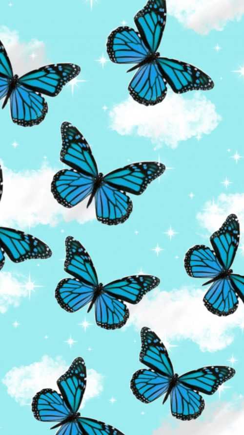 HD Butterfly Wallpaper - iXpap