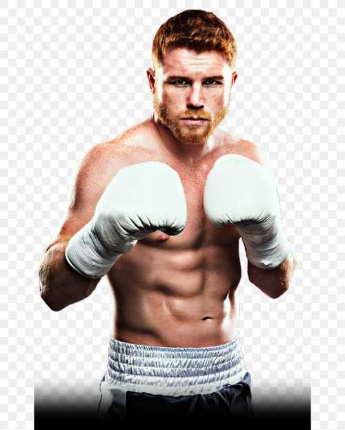 4k Canelo Wallpaper Ixpap 8456