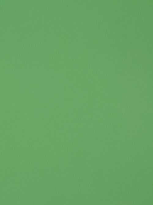 Sage Green Wallpaper - iXpap