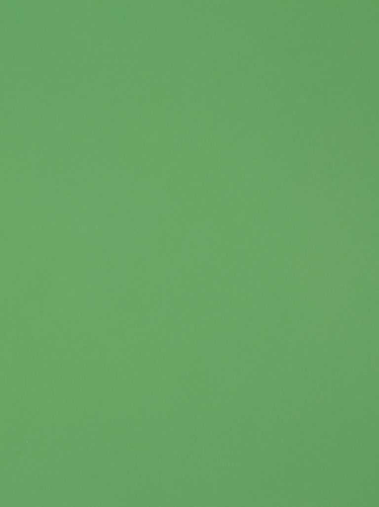 Sage Green Wallpaper - iXpap