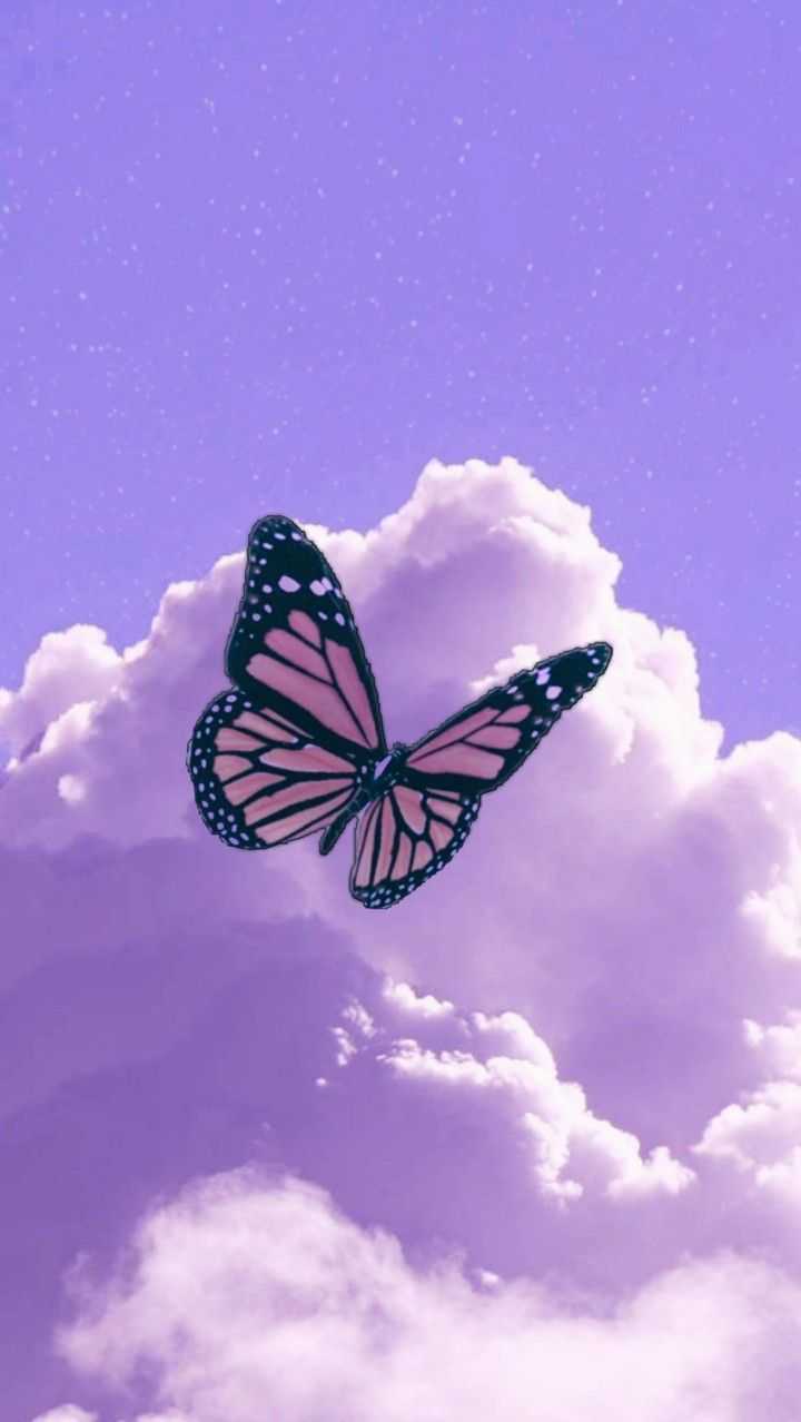 Butterfly Wallpaper - iXpap