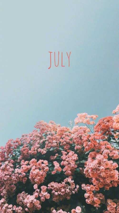 July Wallpaper iXpap