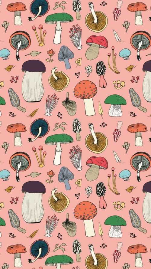 Mushroom Background - iXpap