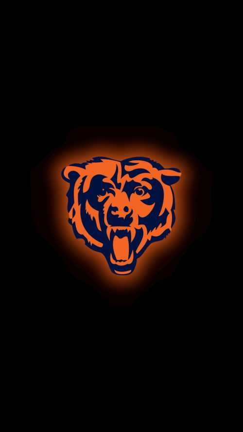 Bears Wallpaper - iXpap