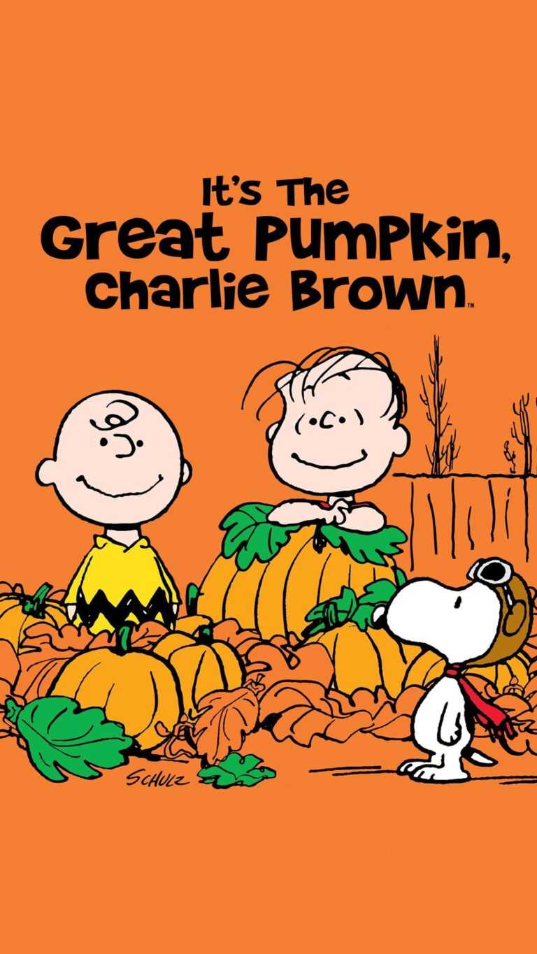 Great Pumpkin Charlie Brown Wallpaper - iXpap