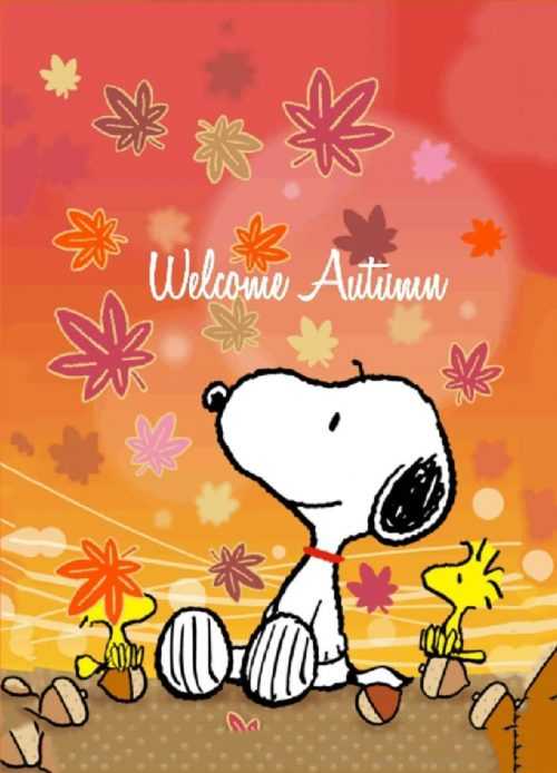 Snoopy Fall Wallpapers - iXpap