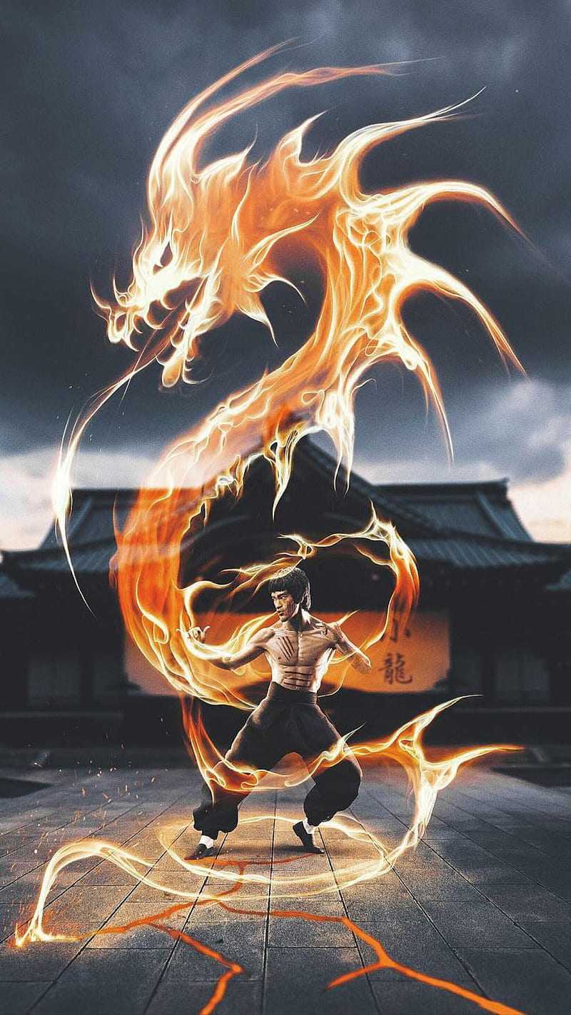 kung fu dragon wallpaper