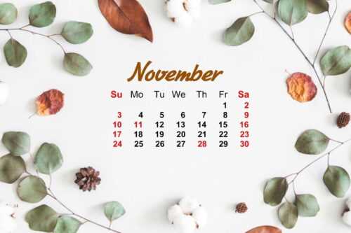 November Calendar 2021 Wallpaper - iXpap