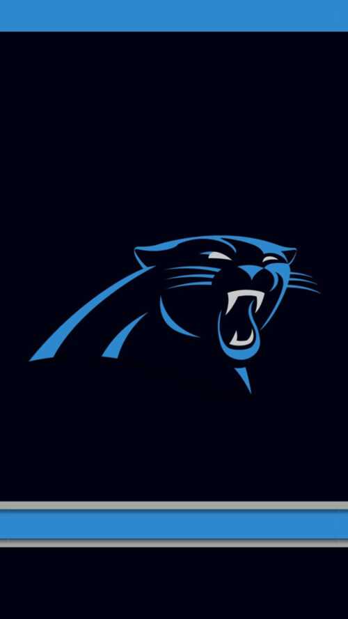 Carolina Panthers Wallpapers - iXpap