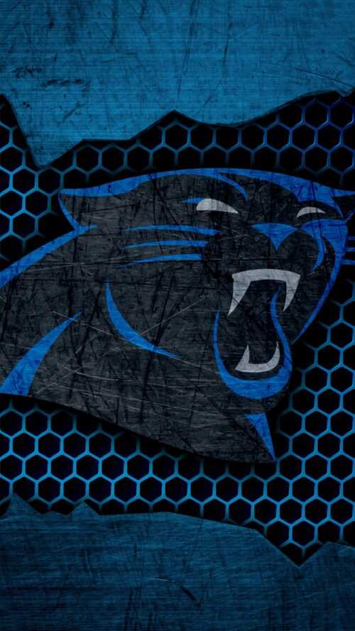 Carolina Panthers Wallpapers - iXpap