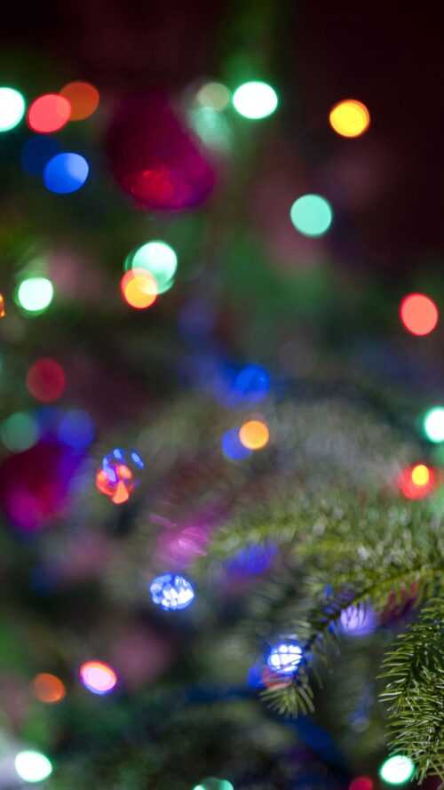 Christmas Lights Background - iXpap