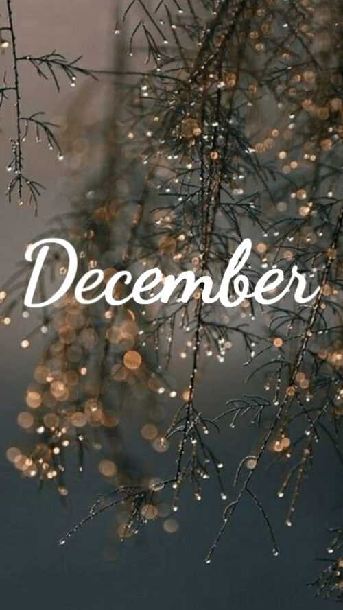 Hello December Wallpaper - Ixpap