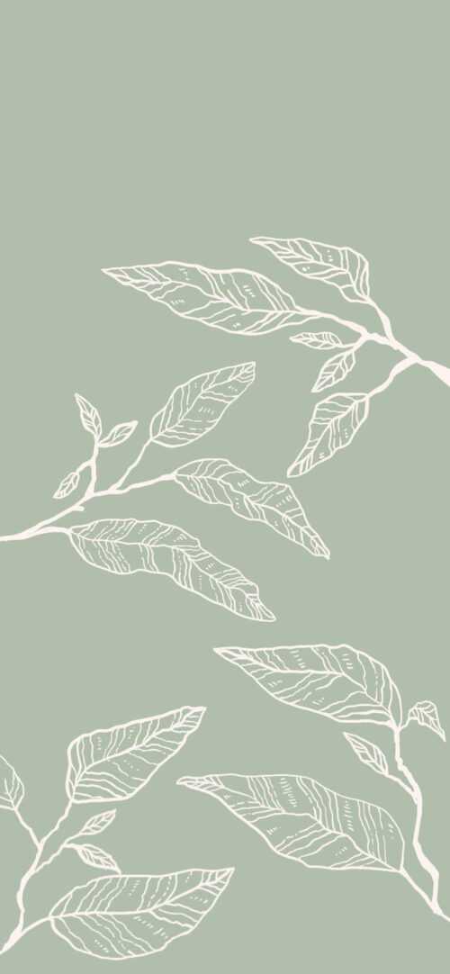 Sage Green Wallpaper - iXpap