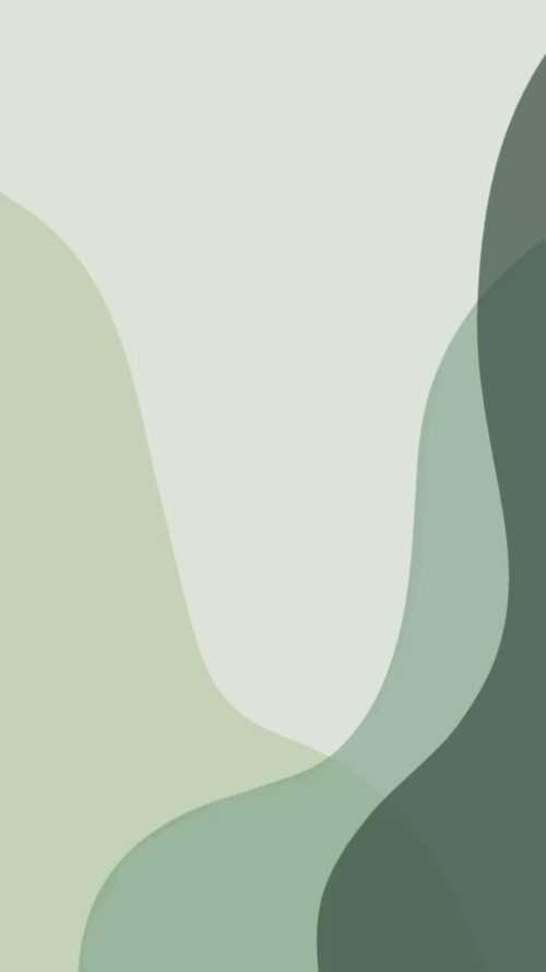 Sage Green Wallpaper - iXpap