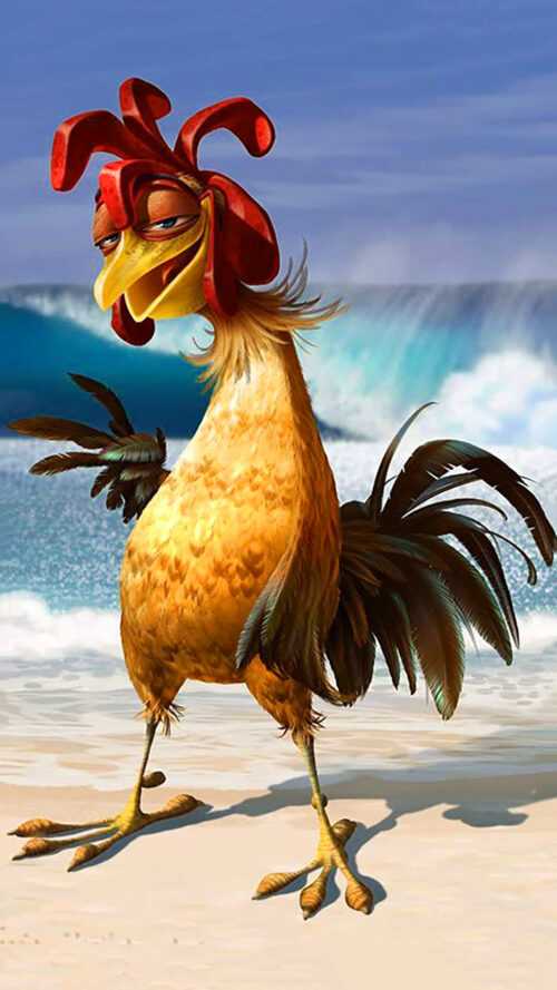 Chicken Joe Wallpaper - iXpap