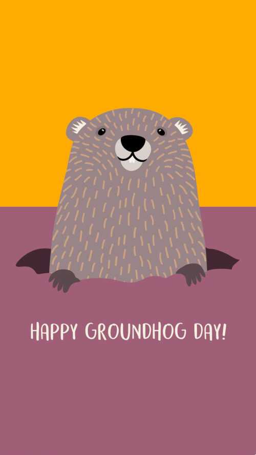 Groundhog Day Background - iXpap