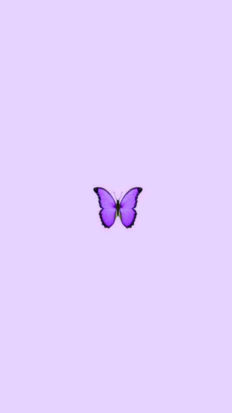 Purple Butterfly Wallpaper - iXpap