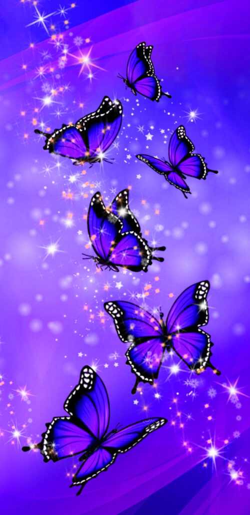 Purple Butterfly Wallpaper - iXpap