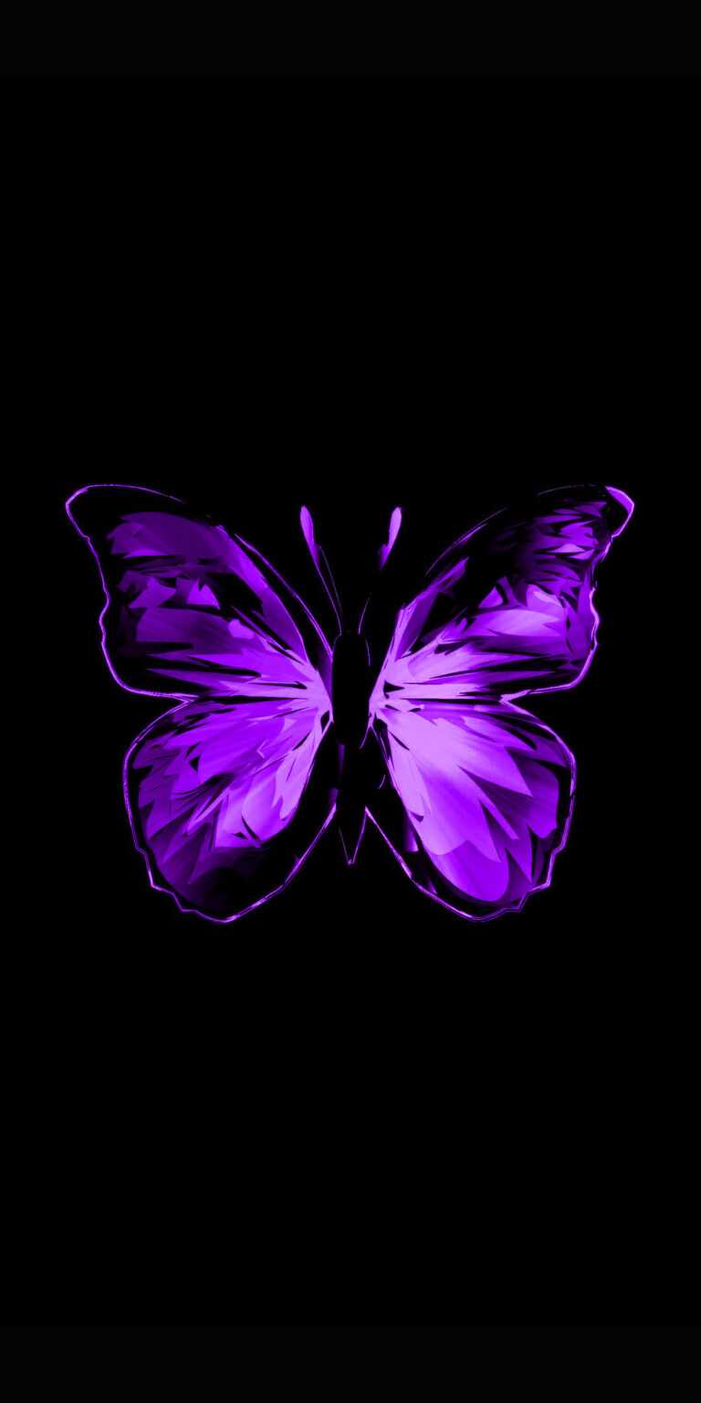 Purple Butterfly Wallpaper - iXpap