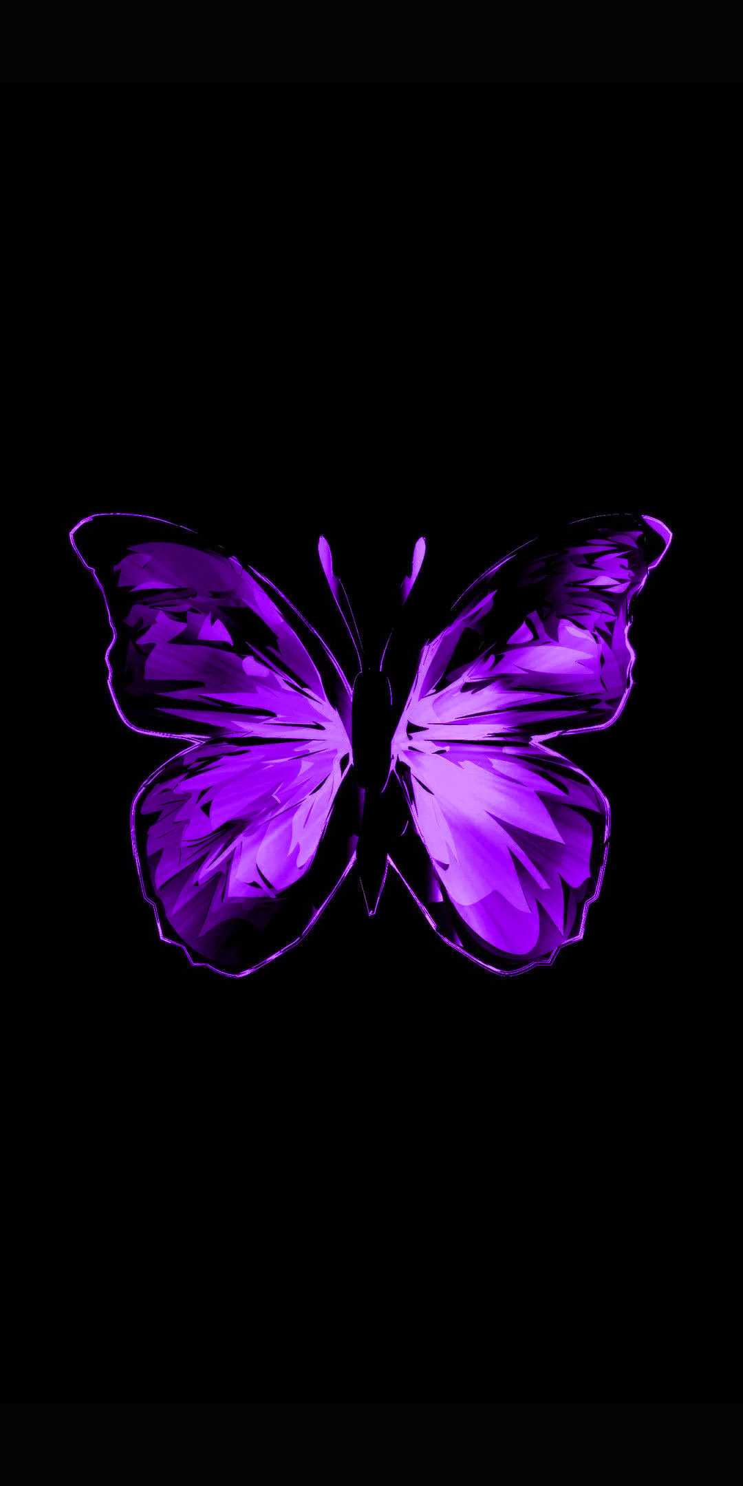 purple and black butterfly wallpapers