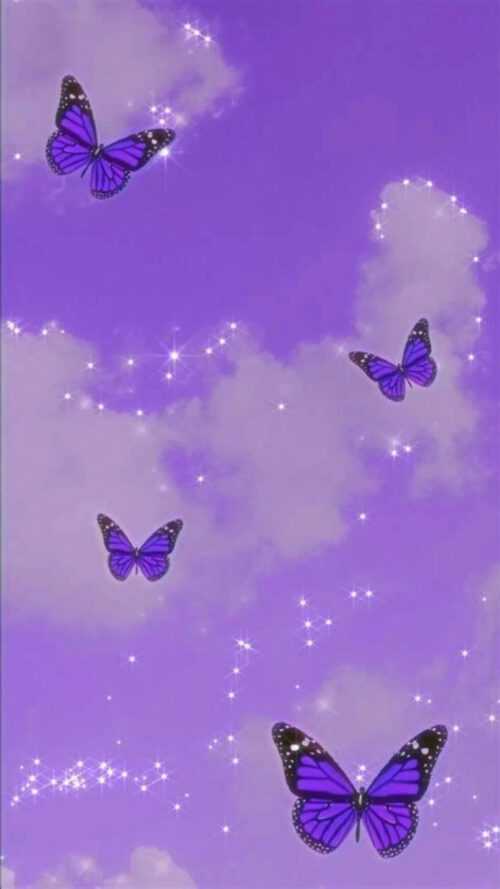 Purple Butterfly Wallpaper - iXpap