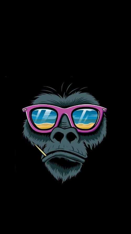 Monkey Wallpaper - iXpap