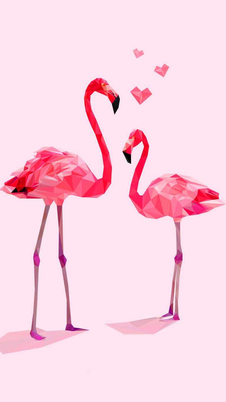 Flamingo Wallpaper - iXpap