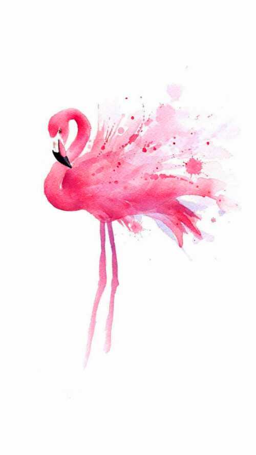 Flamingo Wallpaper - iXpap