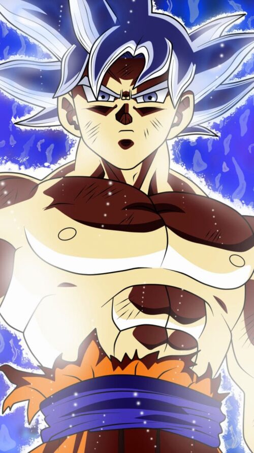 Mui Goku Wallpaper - iXpap