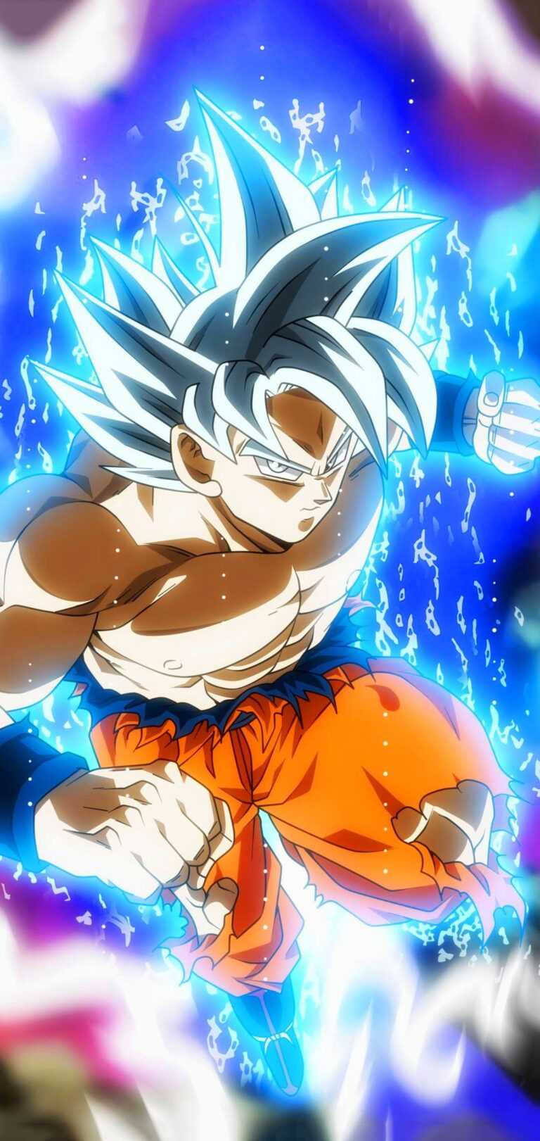 Mui Goku Wallpaper - iXpap