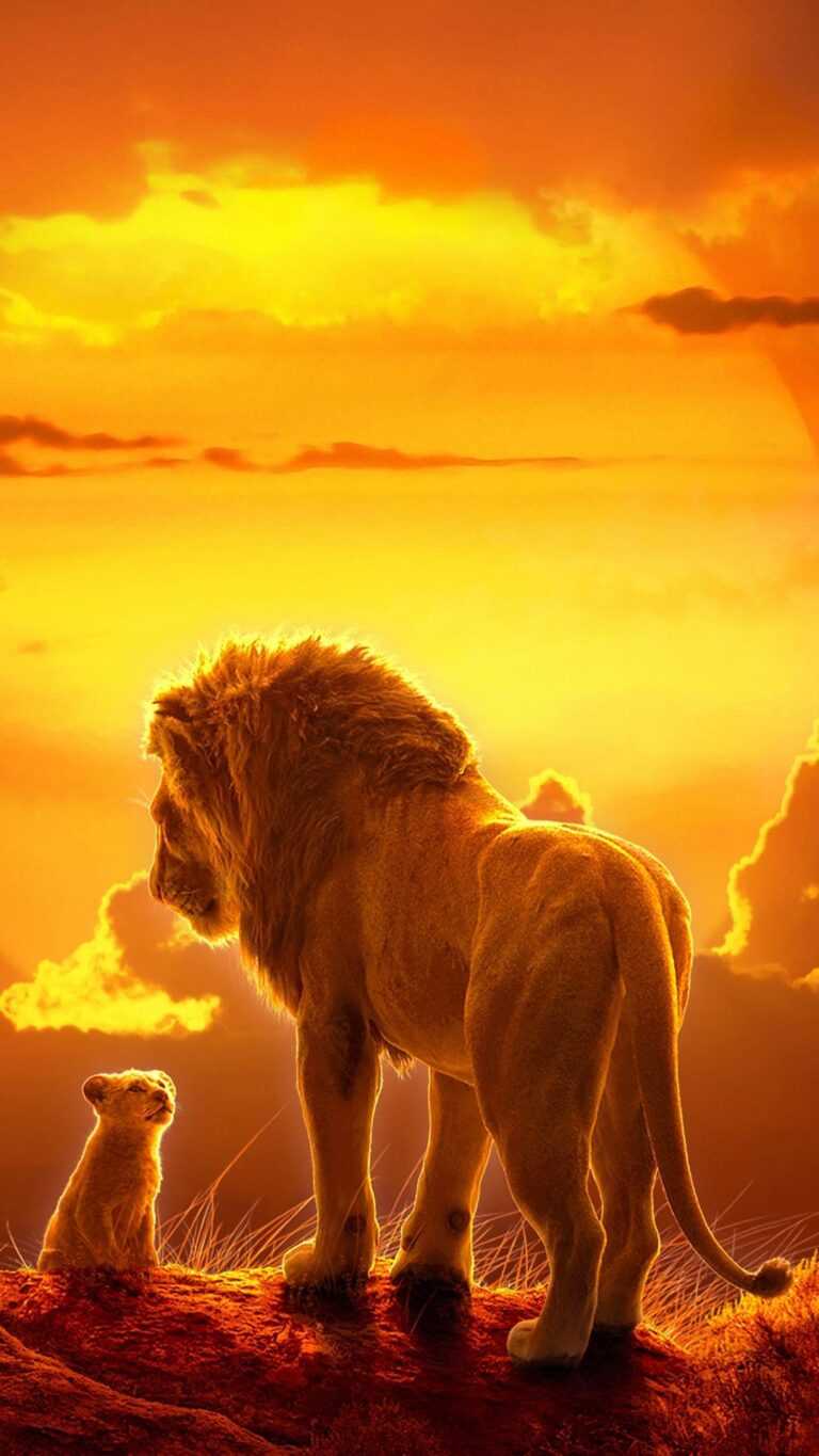 Lion King Wallpaper - iXpap