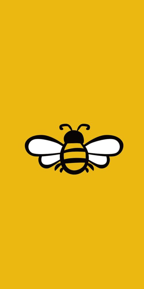 Bee Wallpaper - iXpap