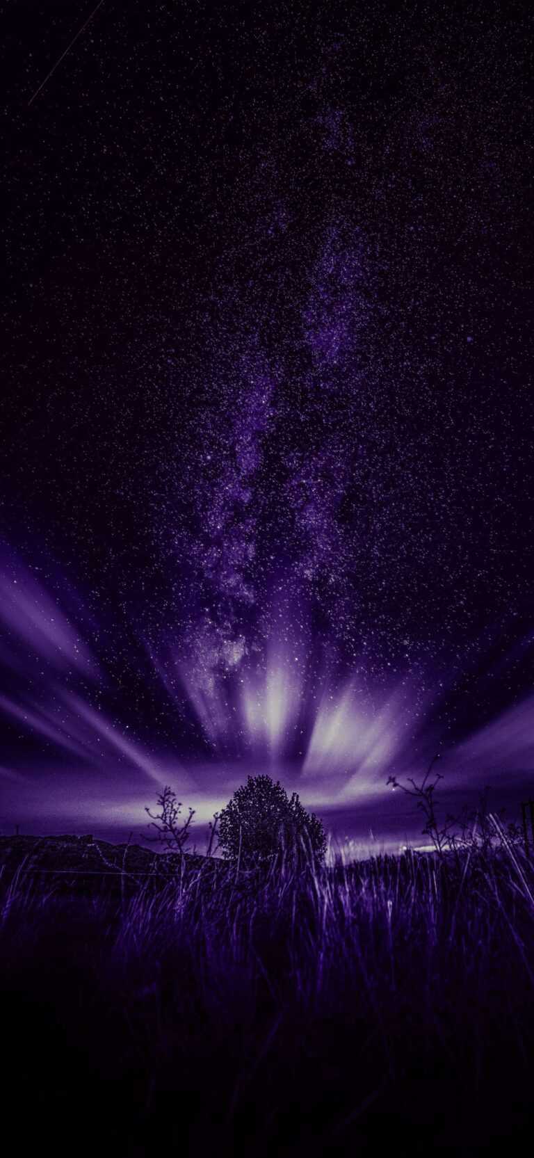 IPhone 14 Pro Max Wallpaper - iXpap