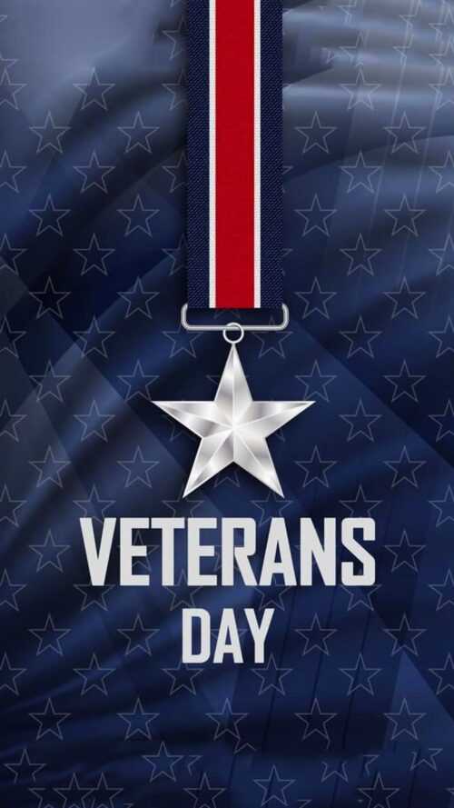 What year veterans day became a national holiday