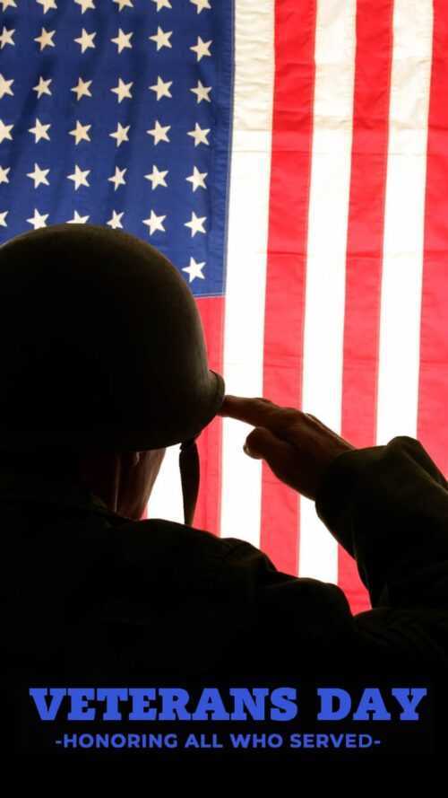 Veterans day volunteer opportunities seattle