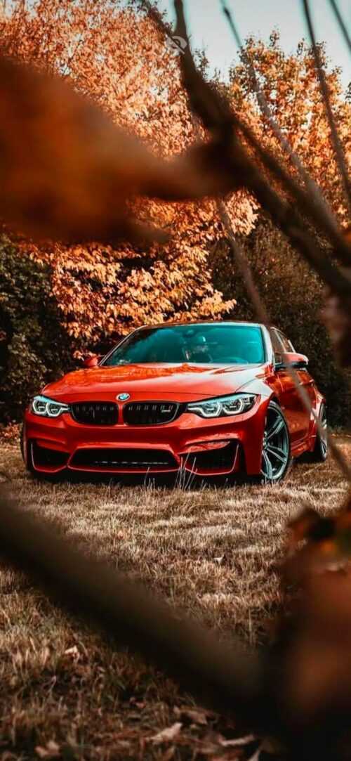 BMW M3 Wallpaper - iXpap