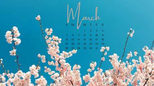 2023 March Calendar Wallpaper - iXpap