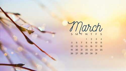 March Calendar 2023 Wallpaper - iXpap