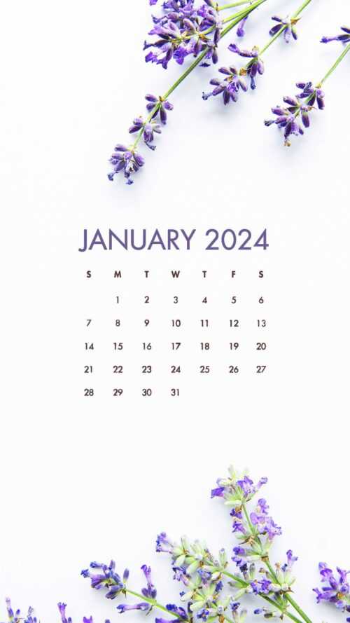 January 2024 Calendar Wallpaper - iXpap