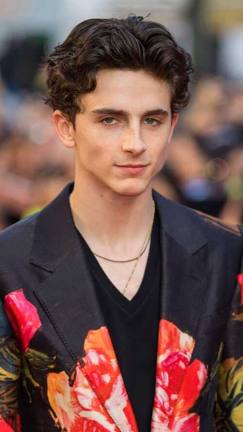 Timothee Chalamet Wallpaper - IXpap