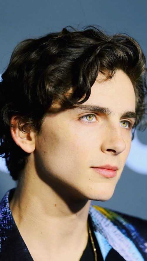 Timothee Chalamet Wallpaper Ixpap