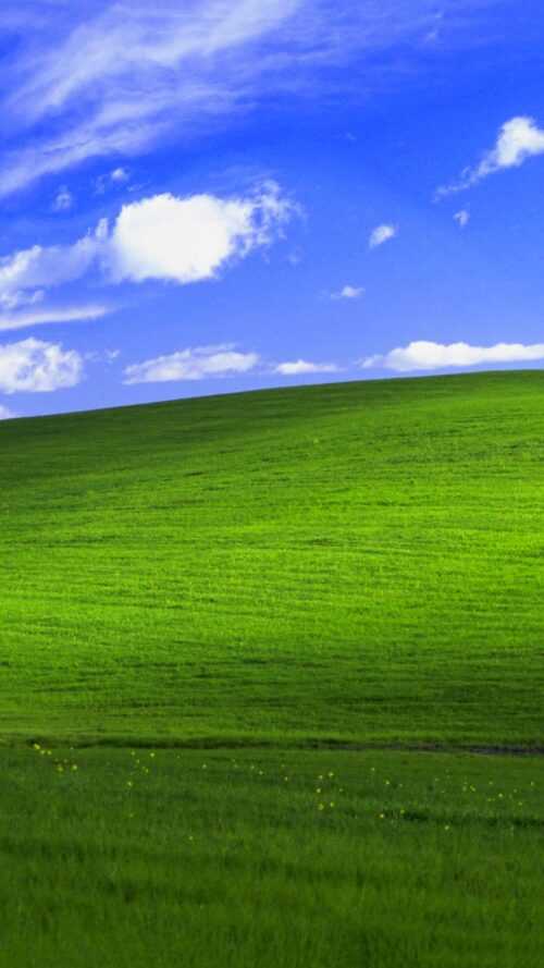 Windows XP Wallpaper - iXpap