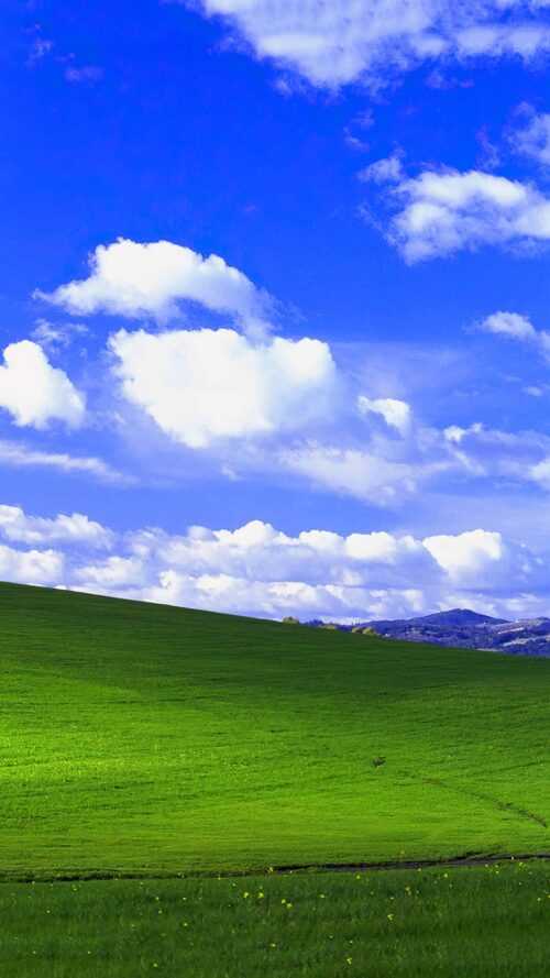 Windows XP Wallpaper - iXpap