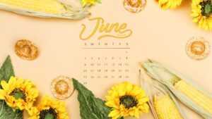 June Calendar 2024 Wallpaper