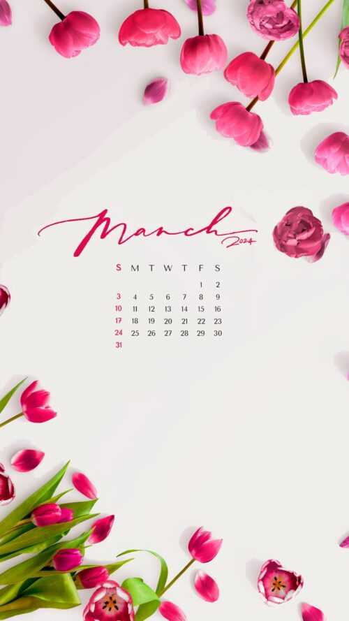 May Calendar 2024 Wallpaper - iXpap