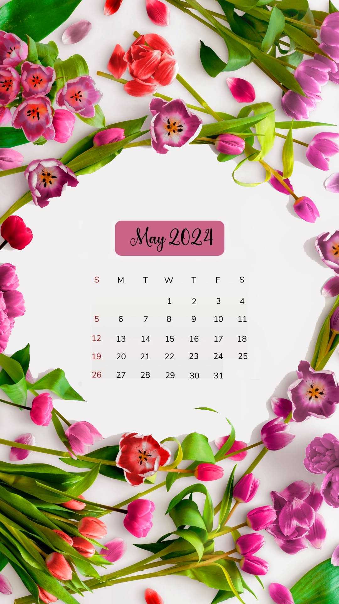 May Calendar Wallpaper 2025 iXpap