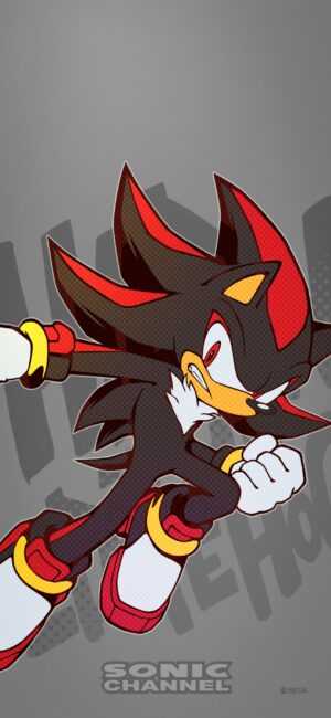 Shadow The Hedgehog Wallpaper